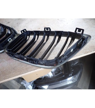 BMW M2 F87 COMPETITION GRILL ATRAPA NERKI