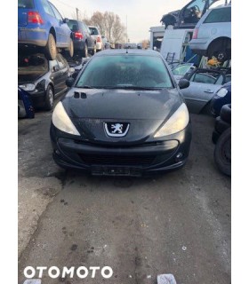 PEUGEOT 206 PLUS DRZWI PRZOD PRAWE 5D