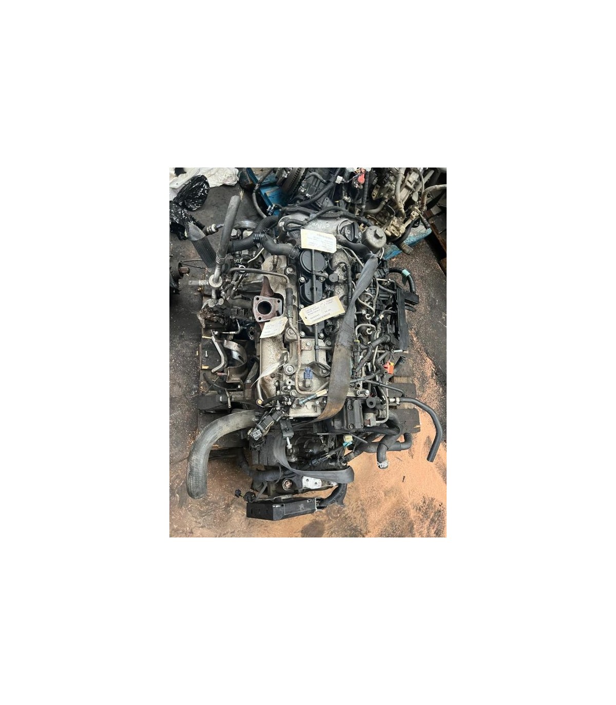 CHEVROLET ROZRUSZNIK 2.0 VCDI Z20D1