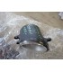 CITROEN C1 TOYOTA AYGO AVENSIS YARIS LAMPA HALOGEN PRAWY PRZÓD 19-5921-11-2 NOWY