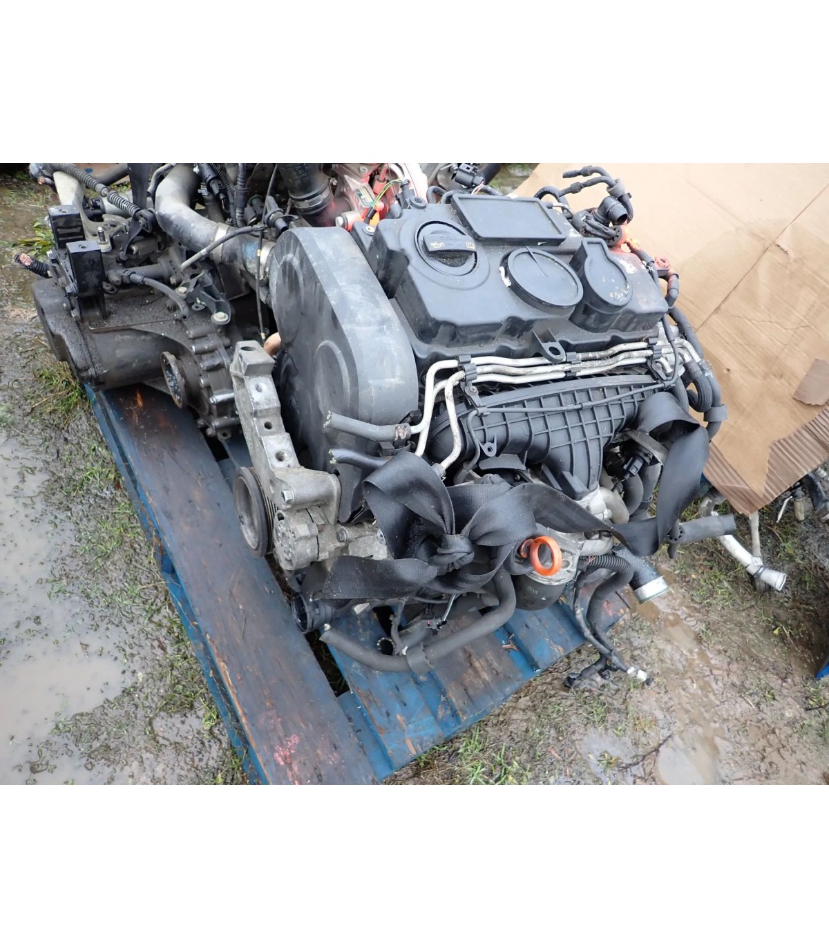 VOLKSWAGEN AUDI 2.0 TDI BMN 170 KM SILNIK SŁUPEK GOŁY