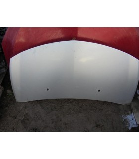 RENAULT CLIO III MASKA