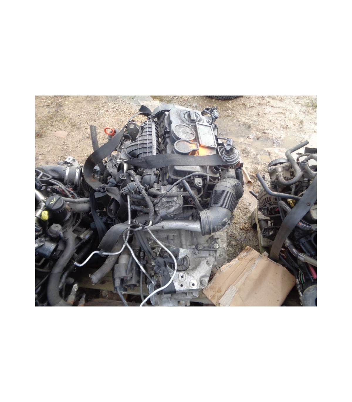 VW SKODA SEAT KOLEKTOR SSĄCY 2.0 TDI 170KM BMN